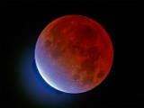 Beaver Moon lunar eclipse 2021  Beaver Moon lunar eclipse 2021 : Beaver Moon lunar eclipse 2021