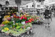 Market day in Campo de Fiori Piazza, Rome Italy  Market day in Campo de Fiori Piazza, Rome Italy : Market day in Campo de Fiori Piazza, Rome Italy