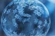 Macro Frozen  Macro Photography; Frozen Bubbles : Macro Photography, Frozen Bubbles