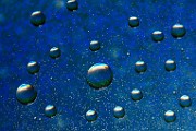 Water Droplets Macro Photography  Macro Photography : Macro Photography