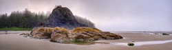 Olympic NP, August, 2016