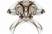 Abstract Fine Art  Abstract Fine Art : Abstract Fine Art