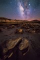 Night Skies  Bisti Badlands, NM : Milky Way, Night Skies