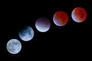 Beaver Moon lunar eclipse 2021  Beaver Moon lunar eclipse 2021 : Beaver Moon lunar eclipse 2021