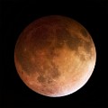 Blood Moon