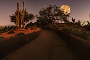 Desert Moon Series 017