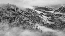 Sedona Fog