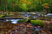 Great Smoky Mountains  Great Smoky Mountains : Great Smoky Mountains