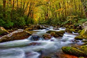 Great Smoky Mountains  Great Smoky Mountains : Great Smoky Mountains