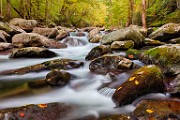 Great Smoky Mountains  Great Smoky Mountains : Great Smoky Mountains