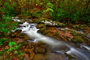 Great Smoky Mountains  Great Smoky Mountains : Great Smoky Mountains