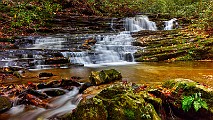 Great Smoky Mountains  Great Smoky Mountains : Great Smoky Mountains