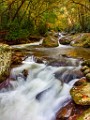Great Smoky Mountains  Great Smoky Mountains : Great Smoky Mountains