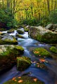 Great Smoky Mountains  Great Smoky Mountains : Great Smoky Mountains