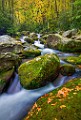 Great Smoky Mountains  Great Smoky Mountains : Great Smoky Mountains