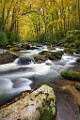 Great Smoky Mountains  Great Smoky Mountains : Great Smoky Mountains