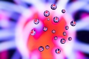Macro Photography  Macro Photography : Macro Photography