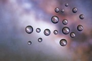 Macro Photography  Macro Photography : Macro Photography