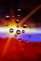 Macro Photography  Macro Photography : Macro Photography