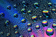 Water Droplets Macro Photography  Macro Photography : Macro Photography
