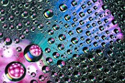 Water Droplets Macro Photography  Macro Photography : Macro Photography