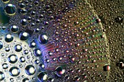 Water Droplets Macro Photography  Macro Photography : Macro Photography