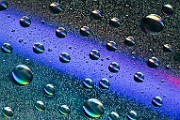 Water Droplets Macro Photography  Macro Photography : Macro Photography