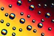 Water Droplets Macro Photography  Macro Photography : Macro Photography