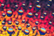 Water Droplets Macro Photography  Macro Photography : Macro Photography