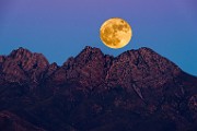 Nikon 200-500mm f5.6 Test Shots, Nov 2016