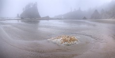 Olympic National Park : Olympic National Park