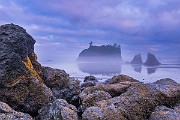 Olympic National Park : Olympic National Park