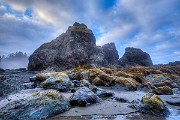 Olympic National Park : Olympic National Park