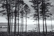 Olympic National Park : Olympic National Park