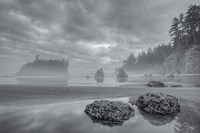 Olympic National Park : Olympic National Park