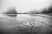 Olympic National Park : Olympic National Park