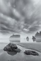 Olympic National Park : Olympic National Park
