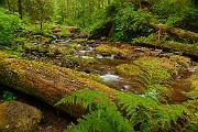Oregon Coast