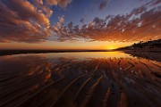 Sea of Cortez April 2025