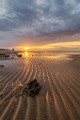 Sea of Cortez