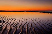 Sea of Cortez, Feb 2023