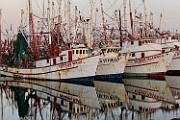 Peter Shinyeda Photography : Mexico, Sea of Cortez, Shrimp_Boat