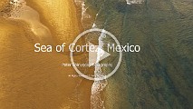 Sea of Cortez  02