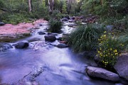 Sedona Arizona Workshop  Sedona : Sedona
