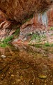 Sedona
