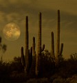 Desert Moon Series 004