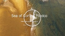 Sea of Cortez 02