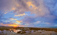 Sea of Cortez 06